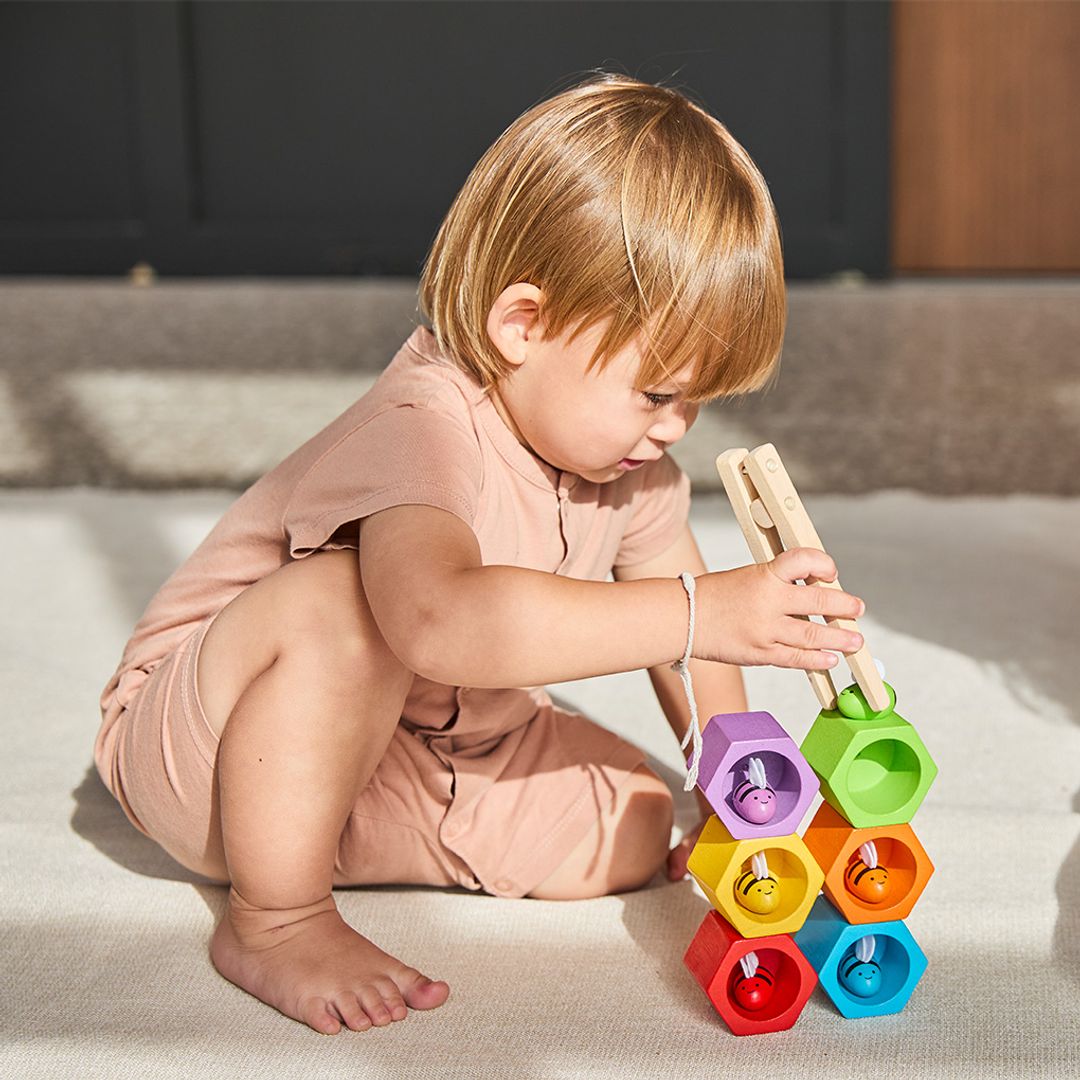 Beehives Toy