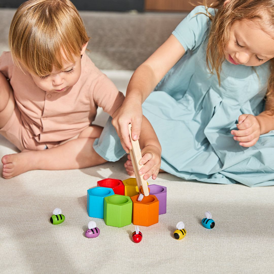 Beehives Toy