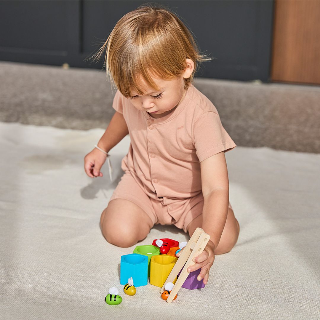 Beehives Toy