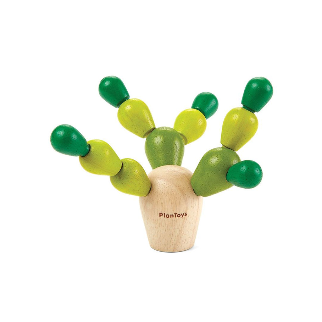 Mini Balancing Cactus