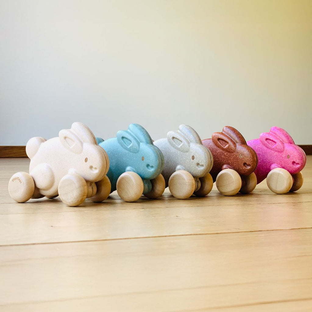 Push Along Bunny Grey